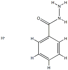 Benzoic  acid,  hydrazide,  conjugate  monoacid  (9CI) Struktur