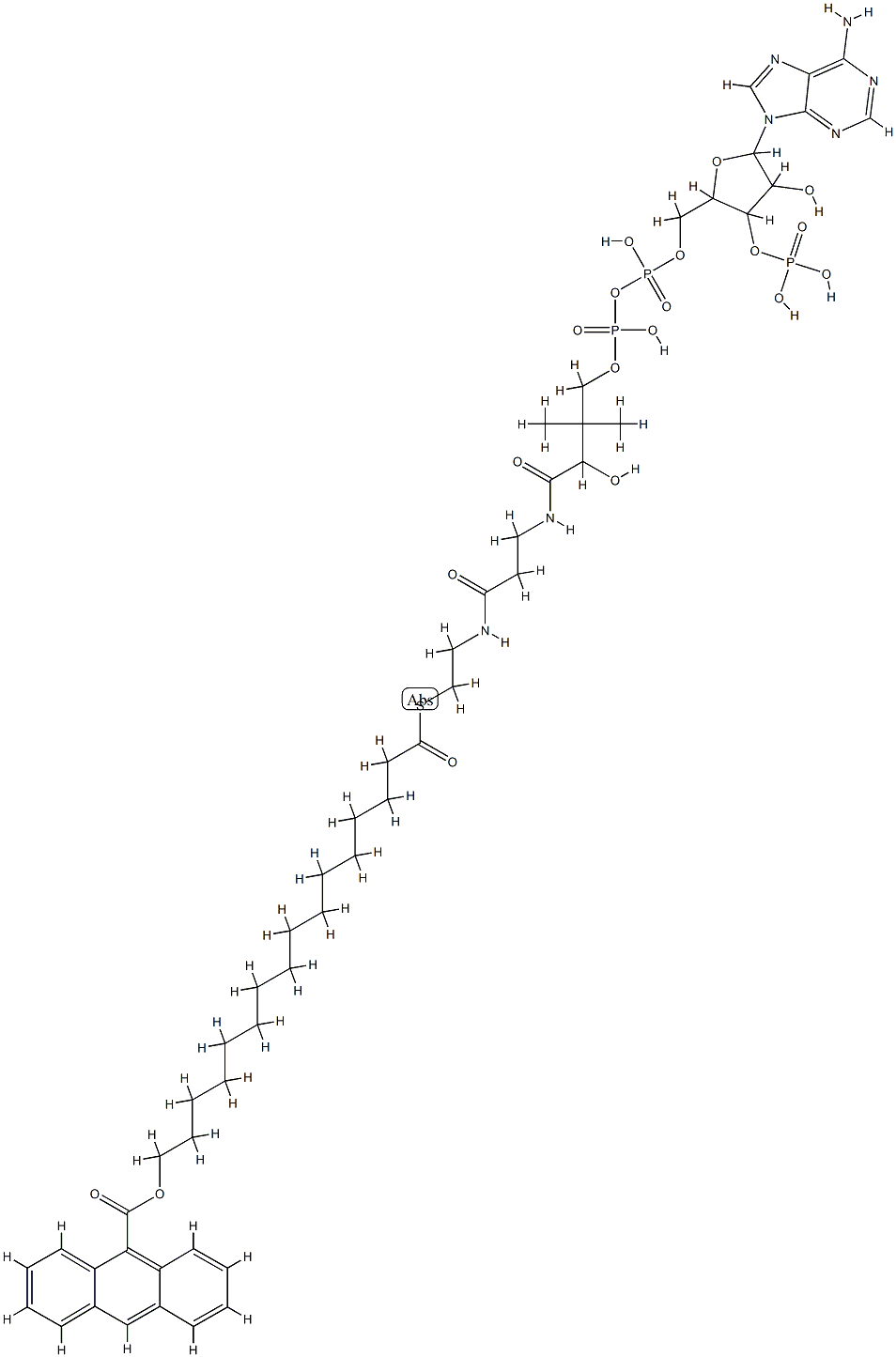 Coenzyme A, 16-(9-anthroyloxy)palmitoyl- Struktur