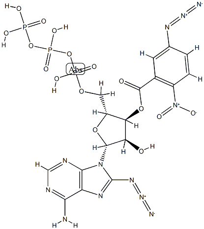 5-azido-2-nitrobenzoyl-8-azido ATP Struktur