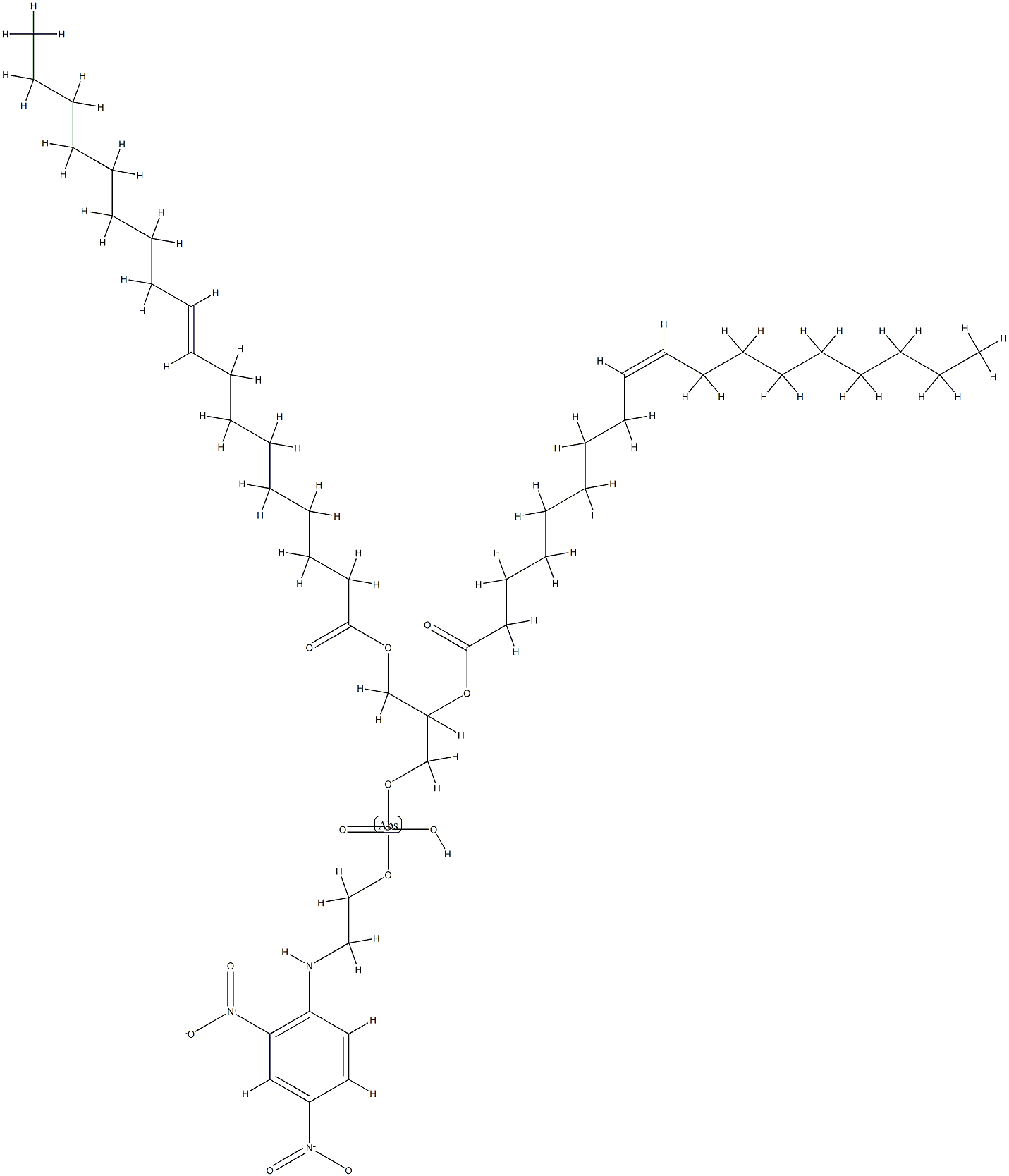 2,4-dinitrophenyl-dioleoylphosphatidylethanolamine Struktur