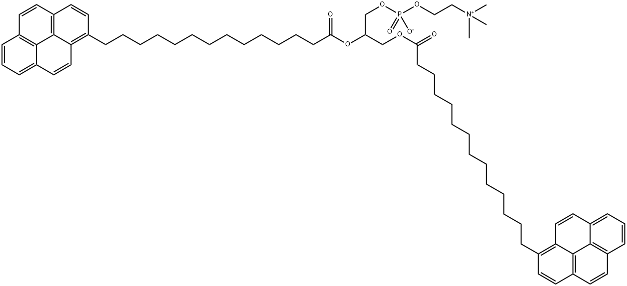 di-(1'-pyrenemyristoyl)phosphatidylcholine Struktur