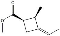 Cyclobutanecarboxylic acid, 3-ethylidene-2-methyl-, methyl ester, [1R- Struktur