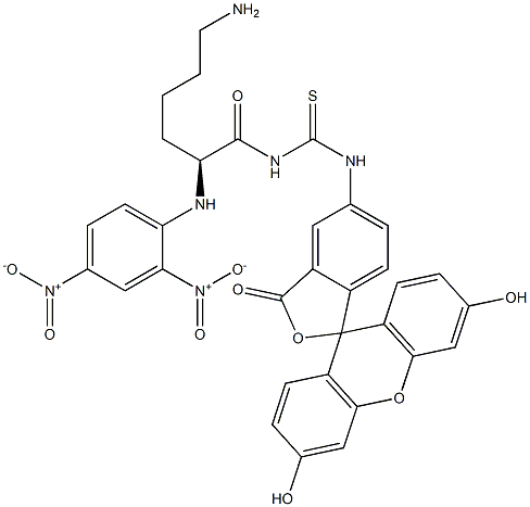 2,4-dinitrophenol-lysine-fluorescein conjugate Struktur