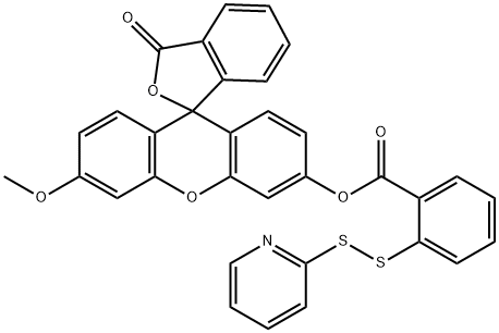 WSP-1 Struktur