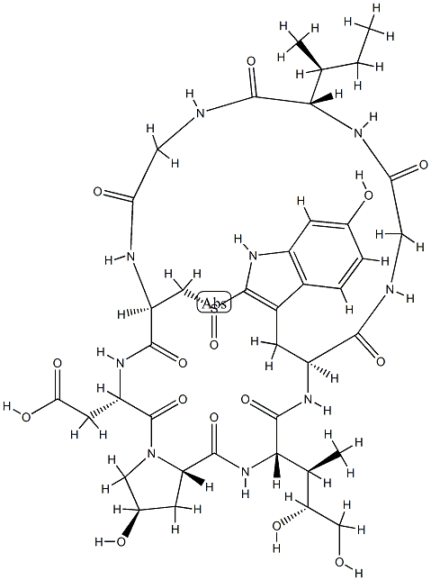 BETA-AMANITIN Struktur