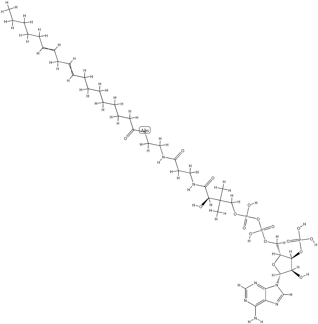 Linoleoyl coenzyme A Struktur