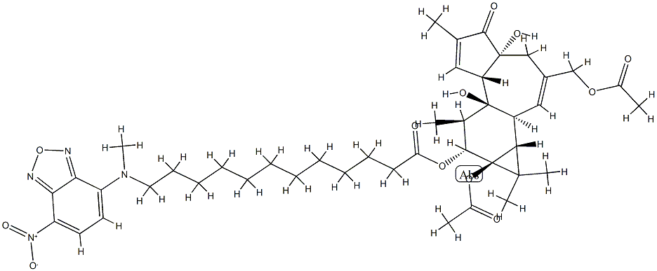 phorbol-13-acetate-12-N-methyl-N-4-(N,N'-di(2-hydroxyethyl)amino)-7-nitrobenz-2-oxa-1,3-diazole-aminododecanoate Struktur