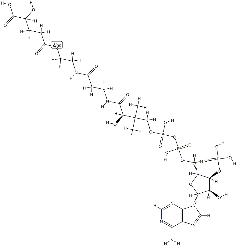 2-hydroxyglutaryl-5-coenzyme A Struktur