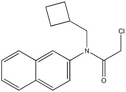 2-chloro-N-(cyclobutylmethyl)-N-(naphthalen-2-yl)acetamide Struktur