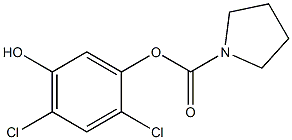 1-Pyrrolidinecarboxylic acid 2,4-dichloro-5-hydroxyphenyl ester Struktur