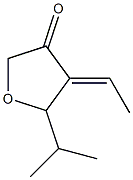 3(2H)-Furanone,4-ethylidenedihydro-5-(1-methylethyl)-(9CI) Struktur