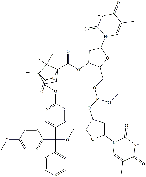 3'-O-(5'-dimethoxytritylthymidyl)-5'-O-(3'-camphanoylthymidyl)-O-methyl phosphite Struktur