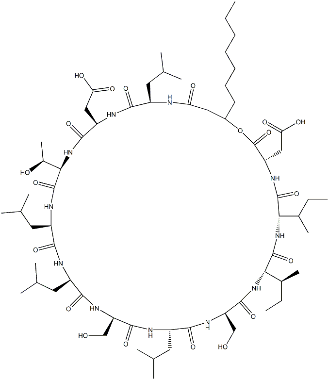 arthrofactin Struktur