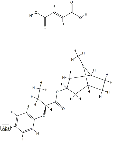 SM 21 Struktur