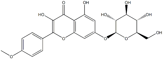 7-[(β-D-Glucopyranosyl)oxy]-3,5-dihydroxy-4'-methoxyflavone Structure