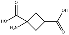 1,3-Cyclobutanedicarboxylicacid,1-amino-(9CI) Struktur