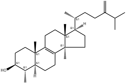 obtusifoliol Struktur