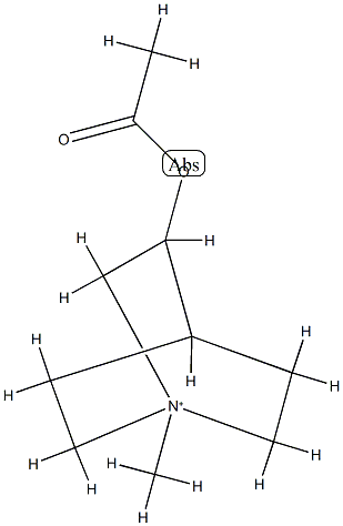 N-methylaceclidine Struktur