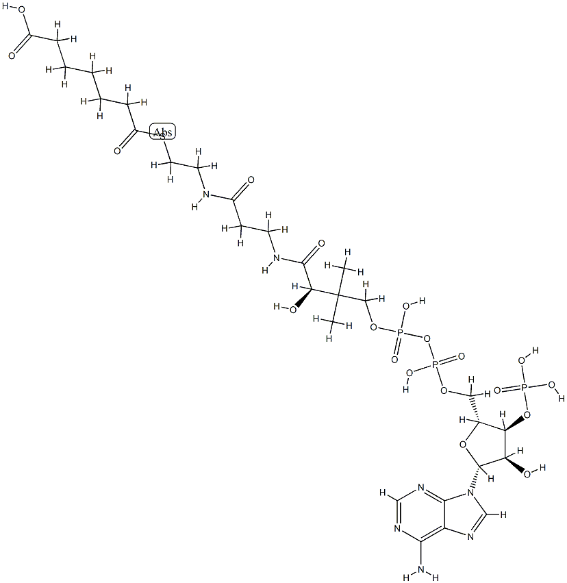 pimeloyl-coenzyme A Struktur