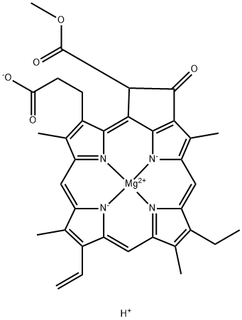 Protochlorophyllide Struktur