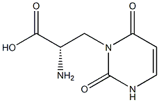 isowillardiine Struktur