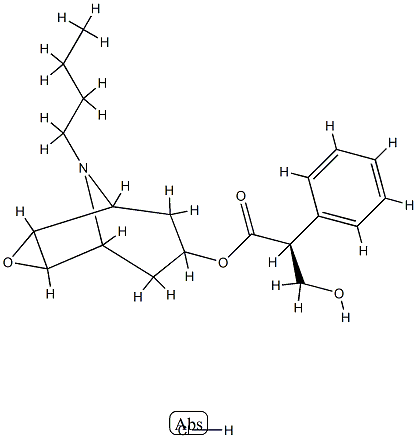 N-Butyl Nor ScopolaMine Hydrochloride Struktur