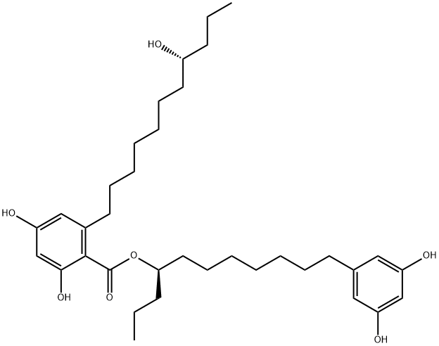 Integracin B Struktur