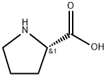 POLY-L-PROLINE Structure