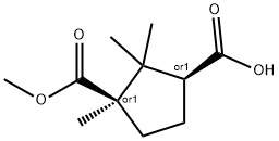 monomethyl camphorate Struktur