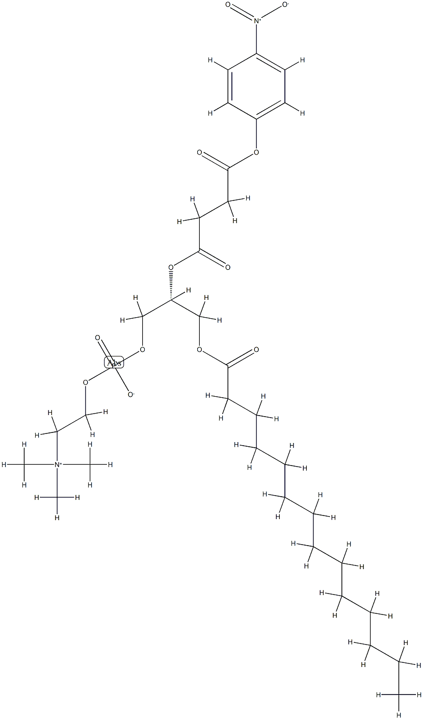 1-Myristoyl-2-(4-nitrophenylsuccinyl)-sn-glycero-3-phosphocholine