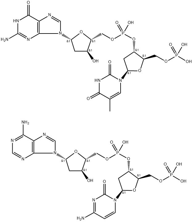 poly(dT-dG)n.poly(dC-dA)n Struktur