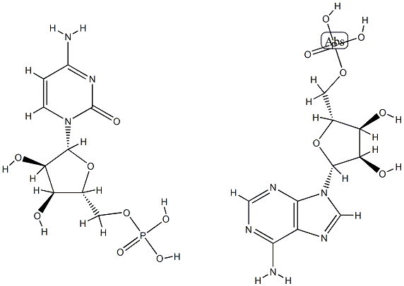 poly(A-C) Struktur