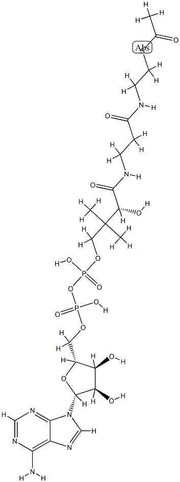 acetyl-dephospho-CoA Struktur