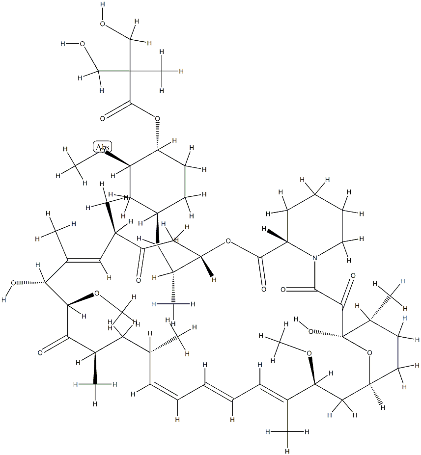 CCI 779 Struktur