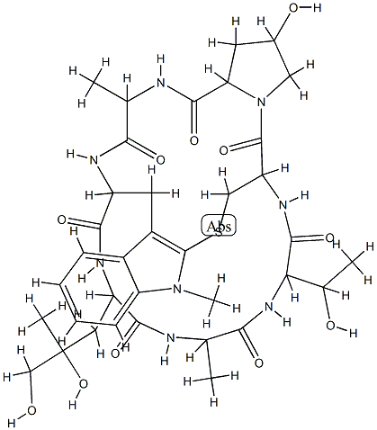 N-Methylphalloidin Struktur