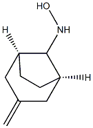 Bicyclo[3.2.1]octan-8-amine, N-hydroxy-3-methylene-, (8-syn)- (9CI) Struktur