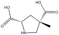 2,4-Pyrrolidinedicarboxylicacid,4-methyl-,(2R,4R)-rel-(9CI) Struktur