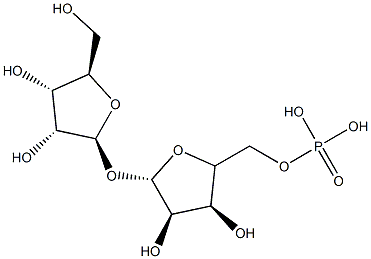 polyribose phosphate Struktur