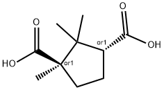 isocamphoric acid Struktur