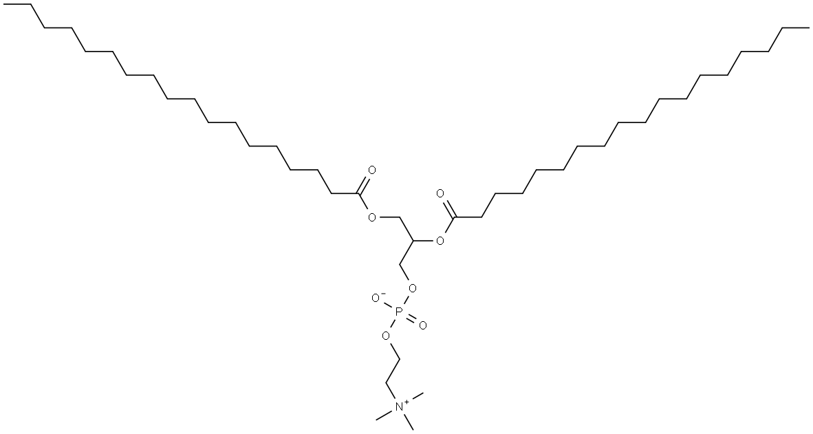 Lecithindistearoyl Struktur