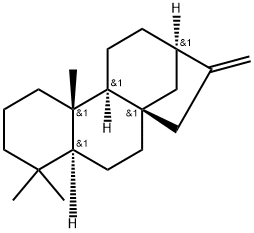 [5α,9α,10β,(+)]-Kaur-16-ene Struktur