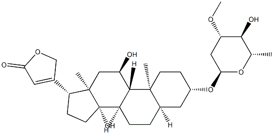 Divaside Struktur