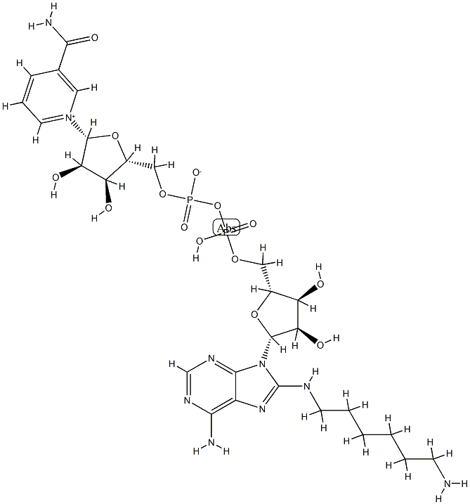 8-(6-aminohexyl)aminonicotinamide adenine dinucleotide Struktur