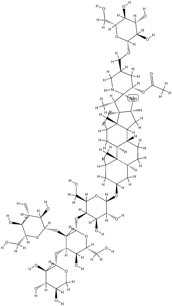 ESCULEOSIDEA Struktur