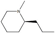 METHYLCONIINE Struktur