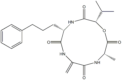 AM toxin II Struktur