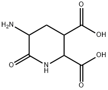 2,3-Piperidinedicarboxylicacid,5-amino-6-oxo-(9CI) Struktur