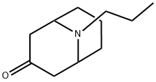 9-Azabicyclo[3.3.1]nonan-3-one, 9-propyl- Struktur