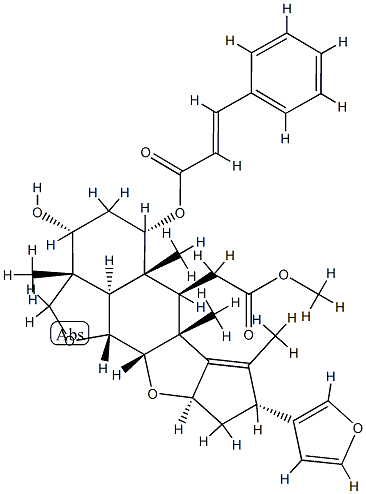 Ohchinin Struktur