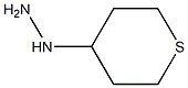 1-(tetrahydro-2H-thiopyran-4-yl)hydrazine Struktur